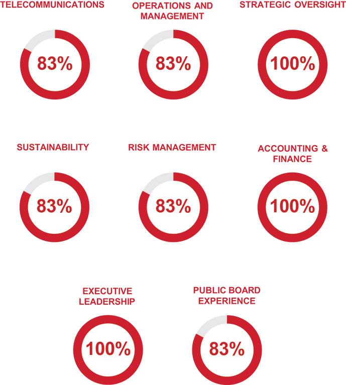 [MISSING IMAGE: pc_dirskil-pn.jpg]